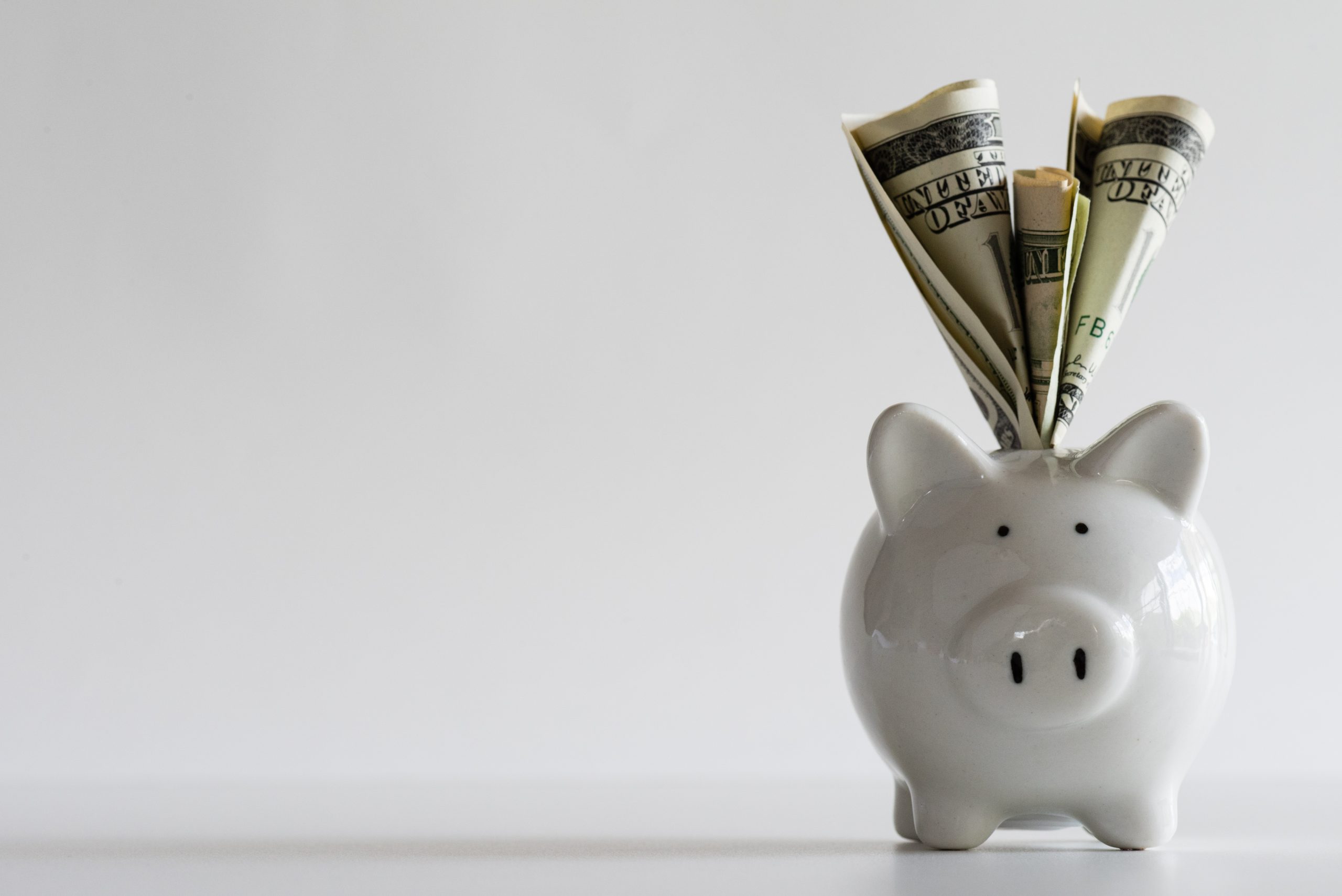 A piggy bank with cash sticking out the toop