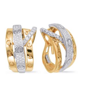 Yellow & White Gold Diamond Earring