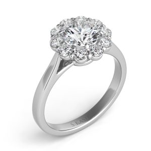 Platinum Halo Engagement Ring Platinum Halo Engagement Ring