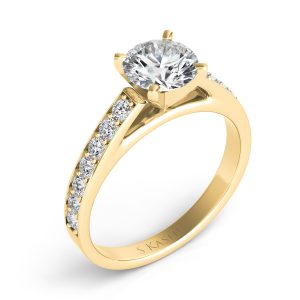 Engagement Ring