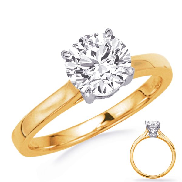 Yellow and White Gold Engagement Ring